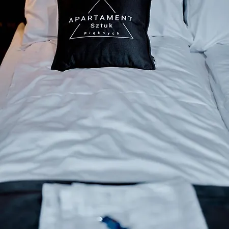 Sztuk Pieknych 14 شقة