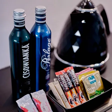 Sztuk Pieknych 14 شقة