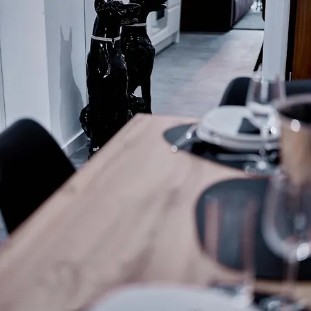 Sztuk Pieknych 14 شقة