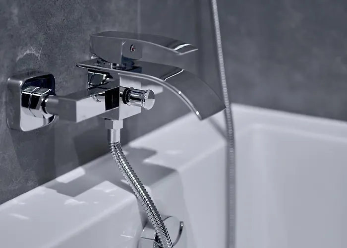 Sztuk Pieknych 14 * פילה